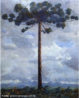 Quadro representando um pinheiro, pintado por Lange de Morretes, de 1954. <br/> Palavras-chave: Lange de Morretes, pintura paranaense