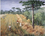 Obra do pintor Guilherme Matter (1904 -1978) mostrando uma plantao de trigo no Paran.  